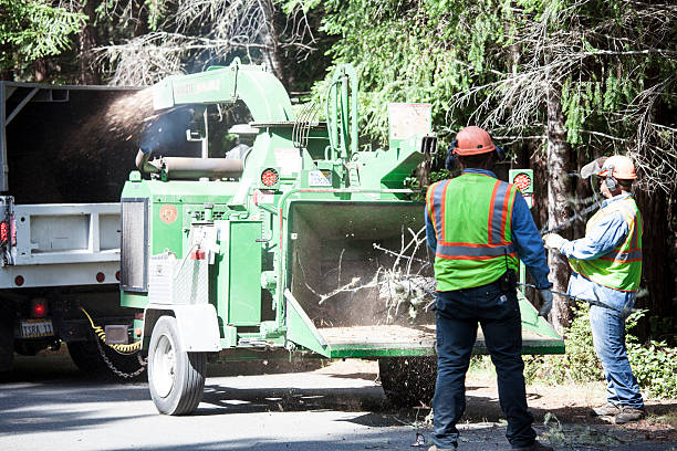 Best Hazardous Tree Removal  in Owenton, KY